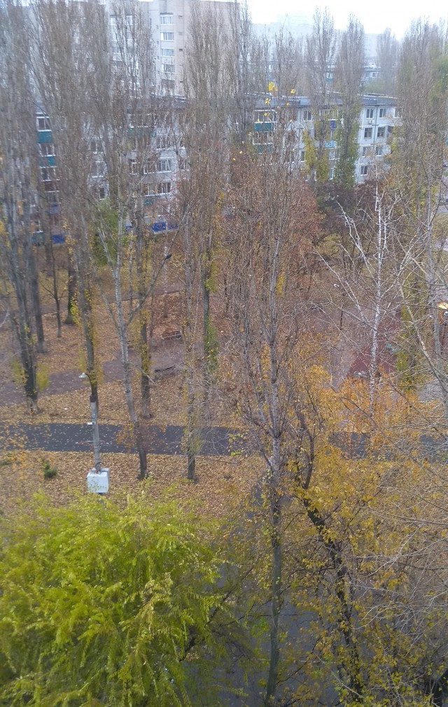 Как я провёл утро 2.