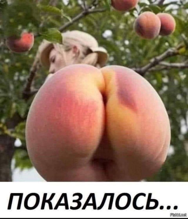 Забавные и не очень скромные картинки - 22