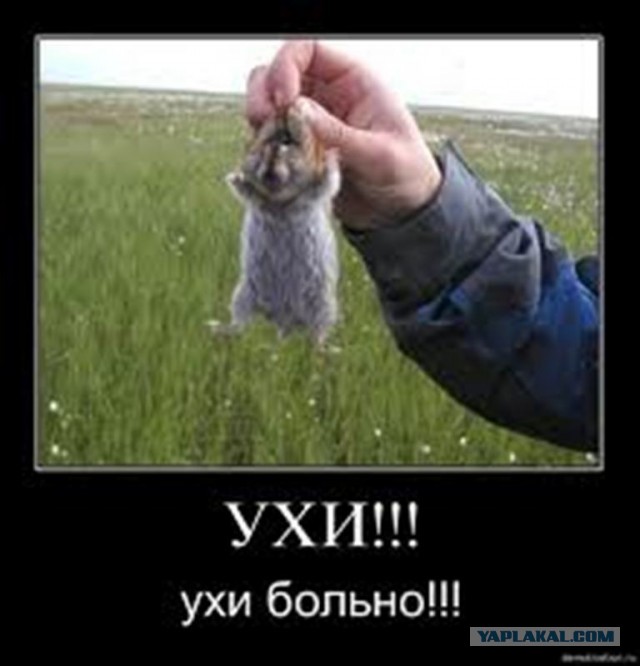 Сообразительный пилот