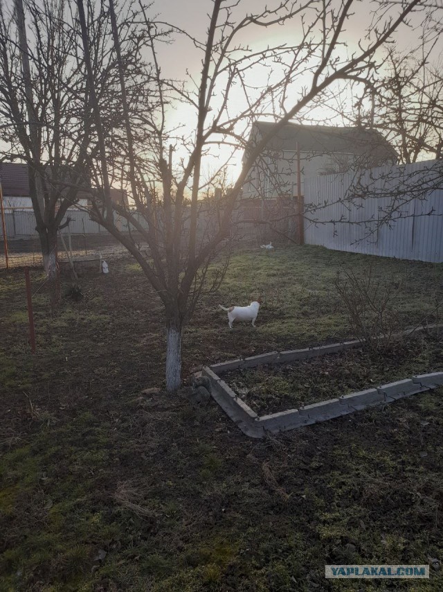 Не дать растаять Снегурчке. Нужна помощь всесильного Япа.