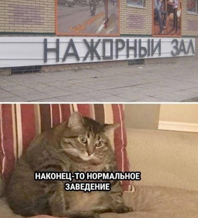Пятничные картинки