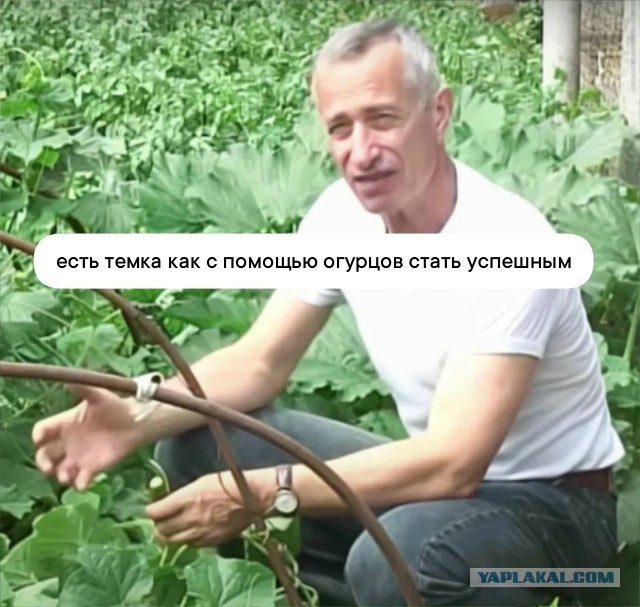 А есть такие?