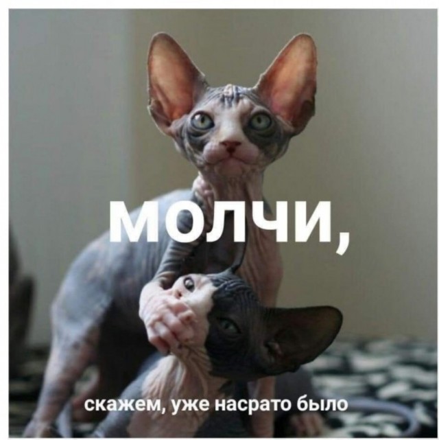 Милые "преступники"