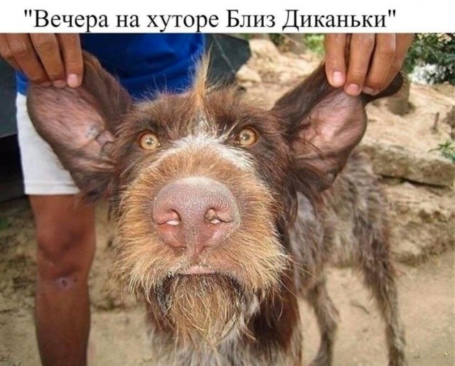 Так себе картинки 20.07.26