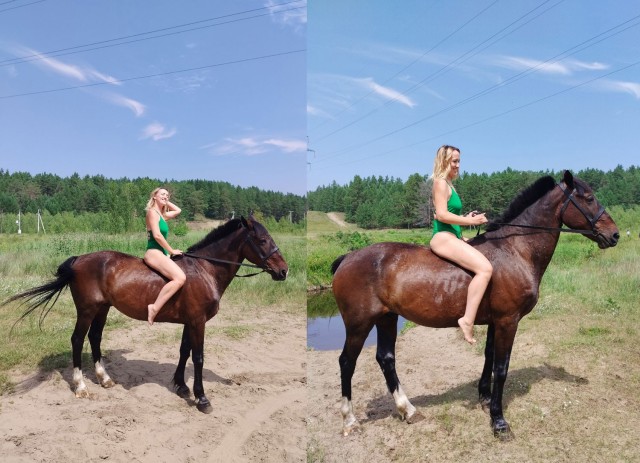 Лошадки