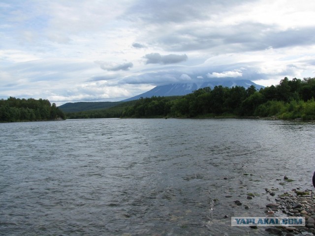 Моя Камчатка