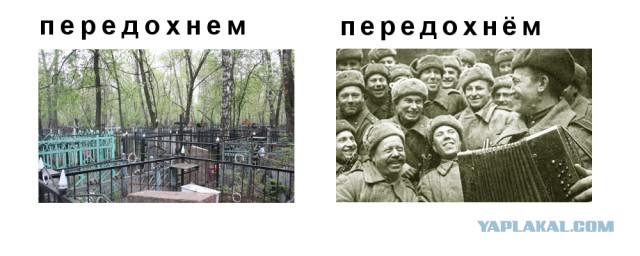 Типичные отличия Российского