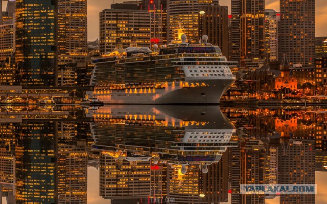 28 самых удачных кадров февраля