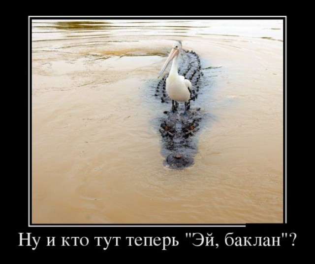 Подборка демотиваторов