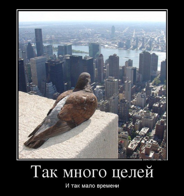 Веселые картинки