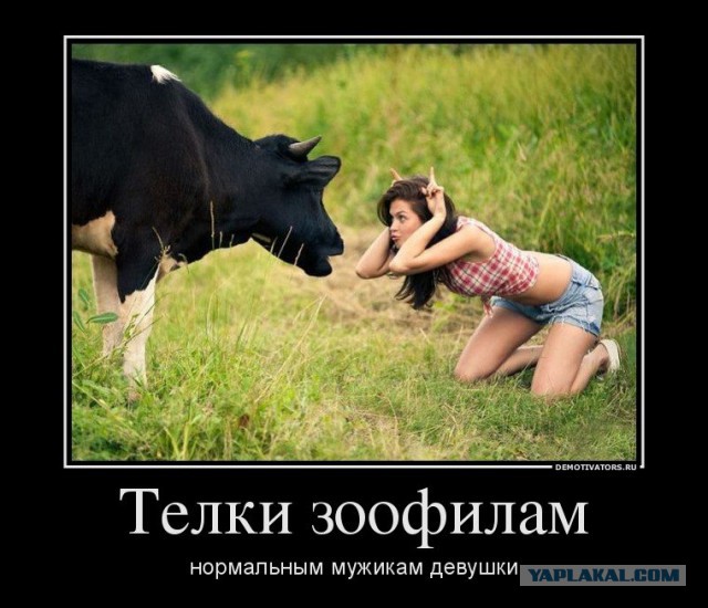 Гламурное кисо: Больше, больше силикона!