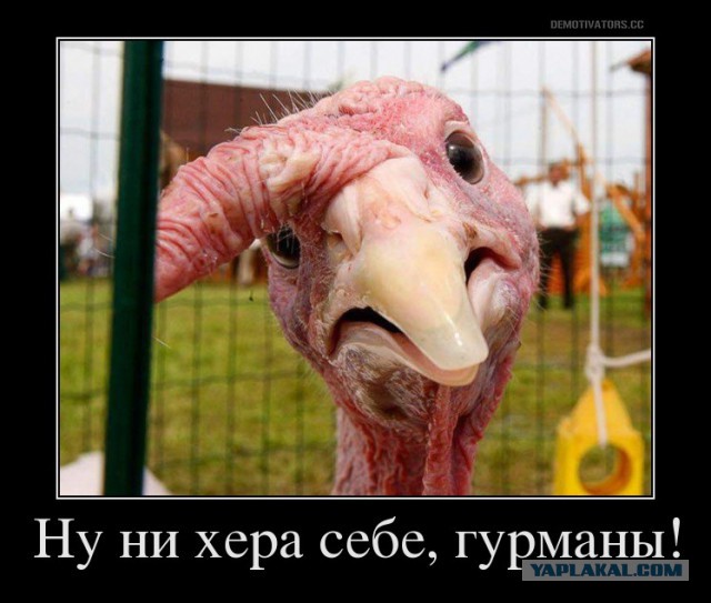 Яйца индейцев - кулинария