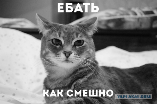Петросян и матерный анекдот (вырезано из эфира)