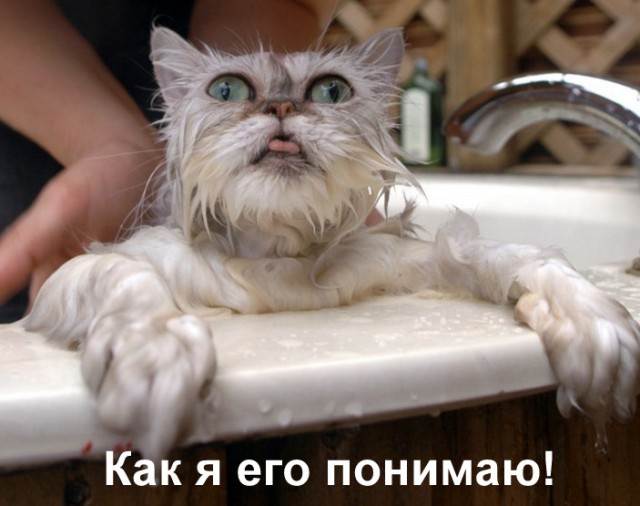 Принял свою судьбу