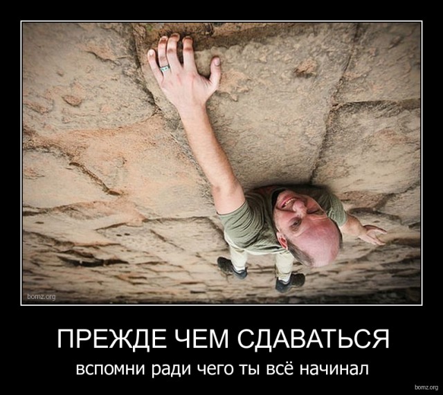 Картинки из сети