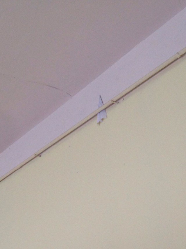 Картинки и приколы из сети