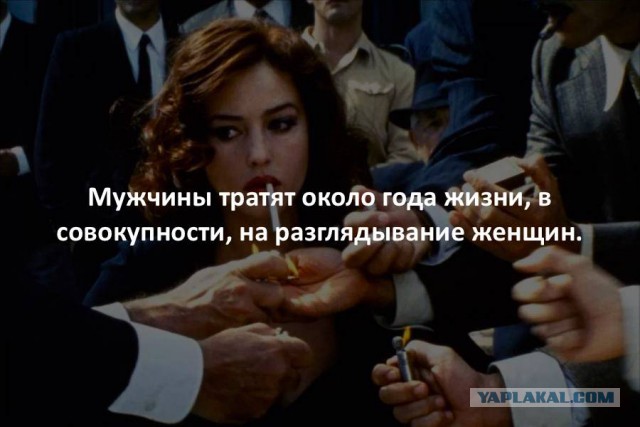 44 интересных факта в картинках. Продолжение
