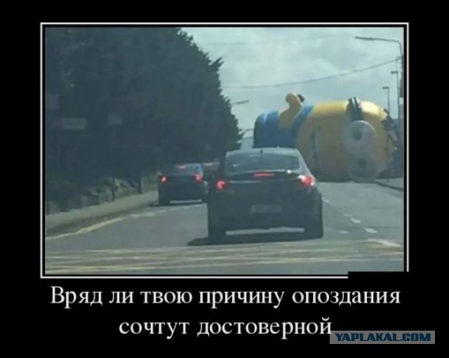 Баяны в чёрных рамках