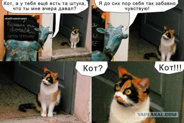 Легкая наркомания одолела внезапно