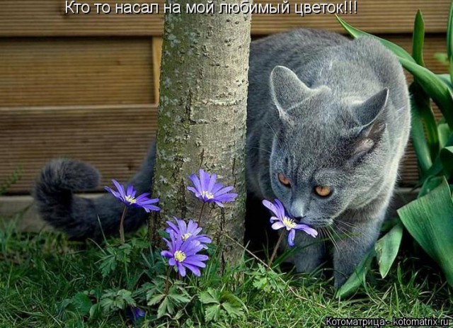 Из серии "параллельные миры"