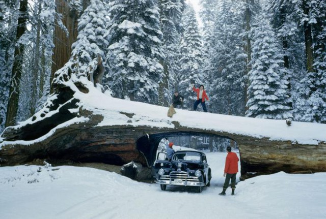 27 неопубликованных фотографий из архивов National Geographic