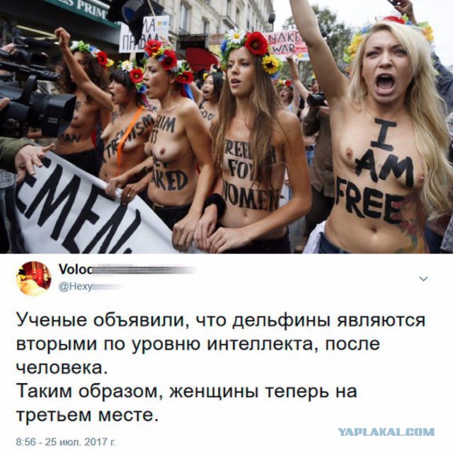 Смешные комментарии из социальных сетей 28.07.2017
