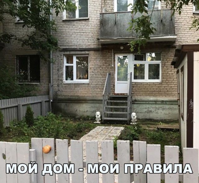 100 картинок для поднятия настроения!