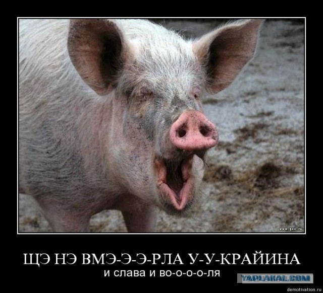 Русский язык в Украине всё!