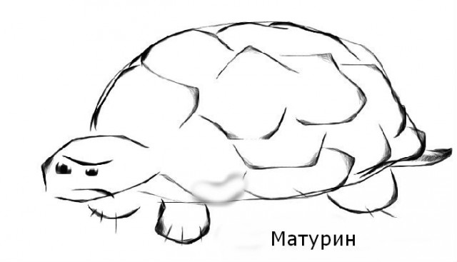 Редактор изображений онлайн