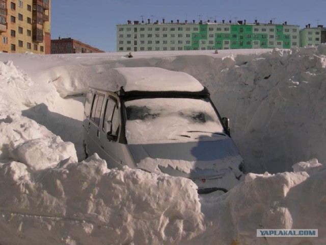 Подснежники гробы. г. Норильск