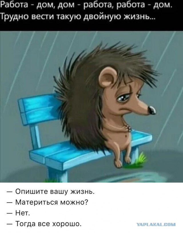 Мечта всех женщин - дурак с деньгами