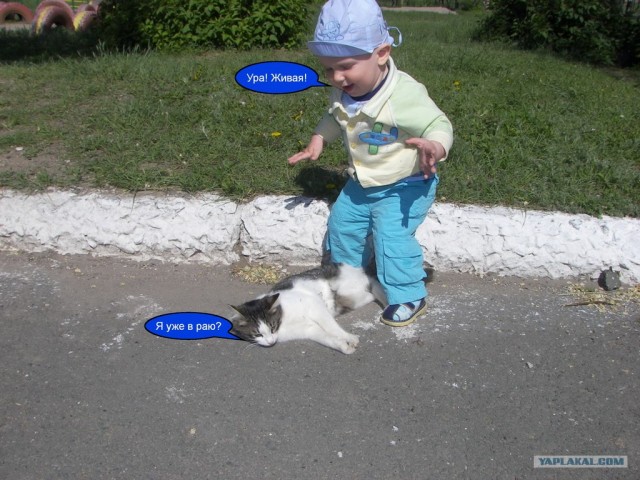 Ребёнок и кот
