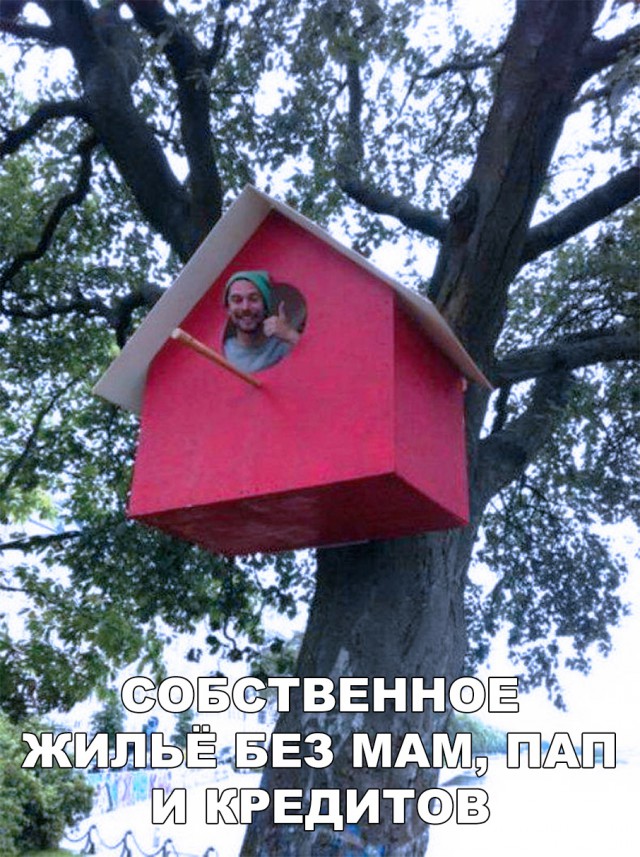 Прикольные картинки абавсём
