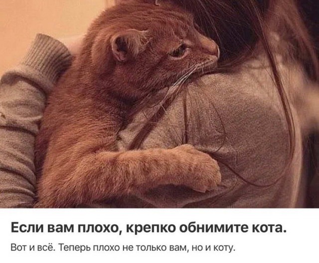 Подеградируем?