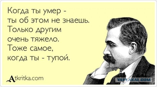 Примеры человеческой глупости, которые вот прямо серьезно озадачивают