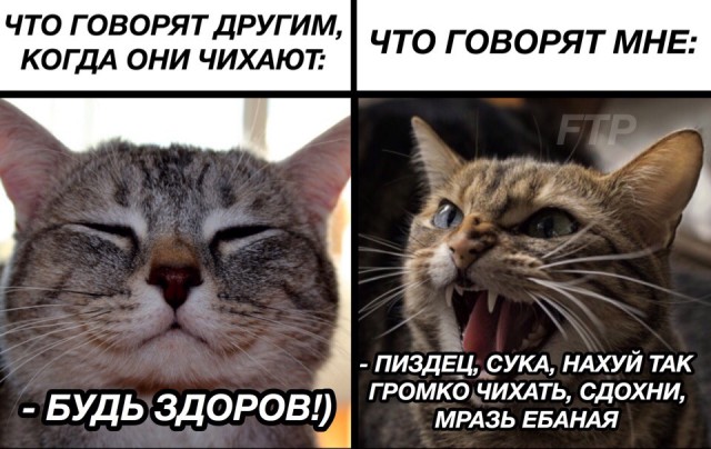 Немного картинок с надписями и без - 11