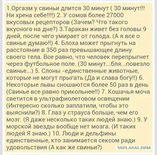 Забавные комментарии из социальных сетей (18.11.19)