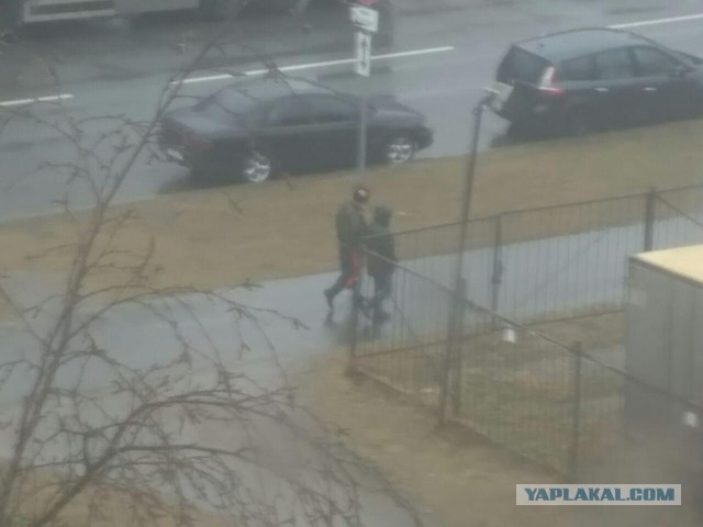 А к нам цирк приехал!