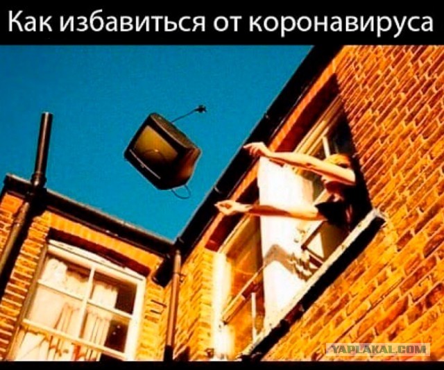 Вирус покорности. О правилах жизни эпохи Ковида.