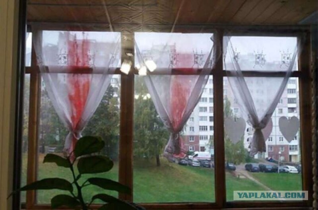 Житель Минска заявил в милицию на собственных детей из-за бело-красно-белых штор.
