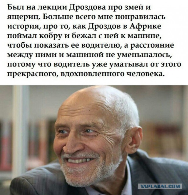 Тот случай, когда не грех поставить тик-ток