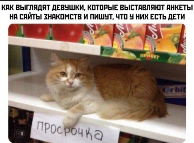 Бредзона 10.02.21