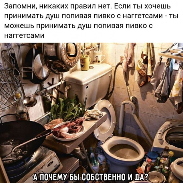 Весёлый полтишок 11.03