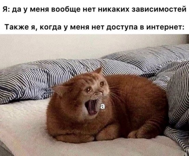 Картинки с надписями и всякие жизненные фразы