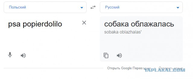 Весёлый полтишок 29.03