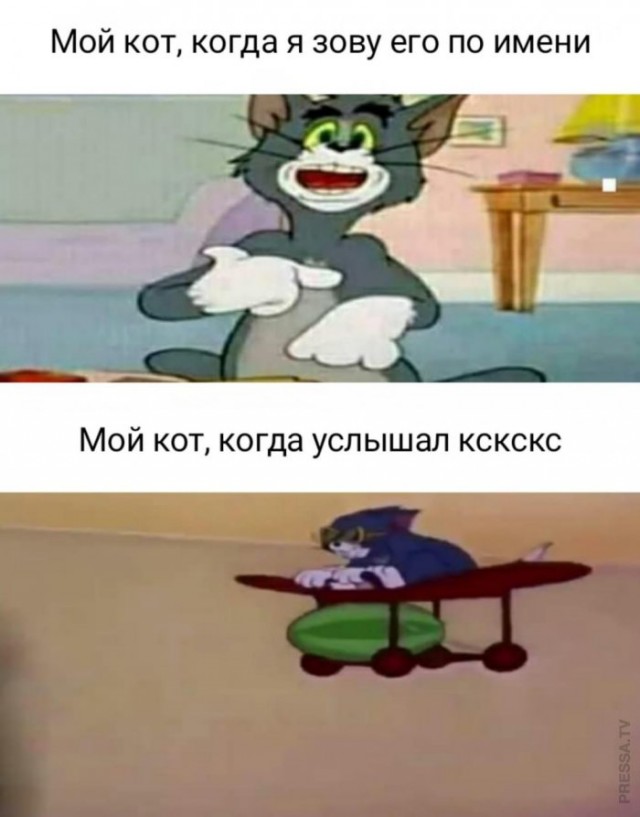 Картинки и мемы для настроения 12.04.2021