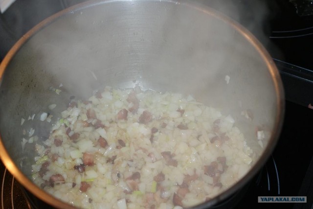 Фасоль – International, Или «Веселые нотки»