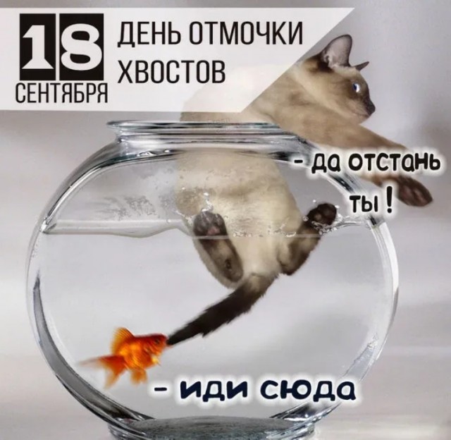 Юмор в картинках 18.09.21