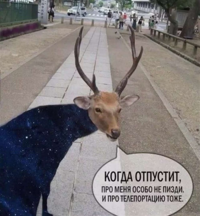 Кто покупает фильмы?