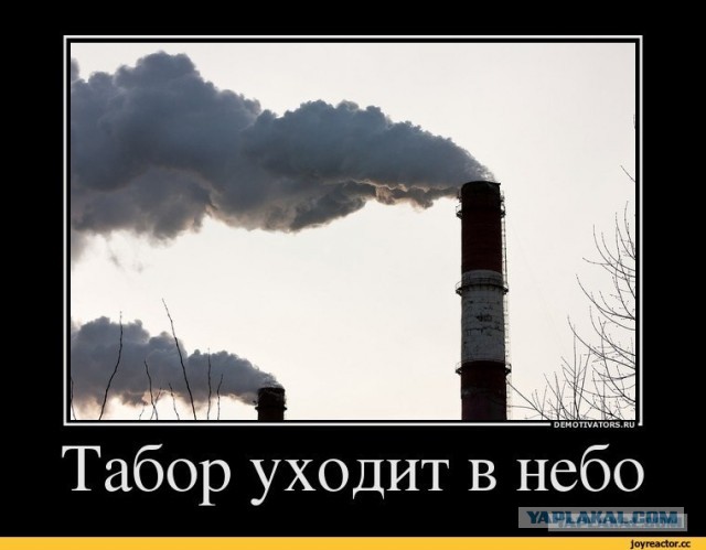 Под Петербургом полицейские изъяли у цыган наркотики и оружие